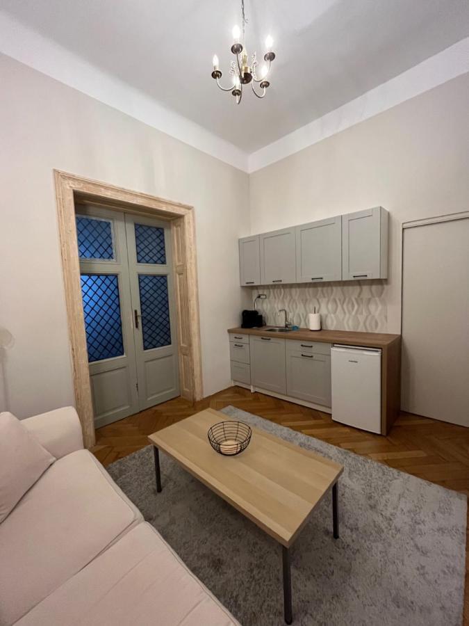 טימישוארה Barty Downtown Apart 2 מראה חיצוני תמונה
